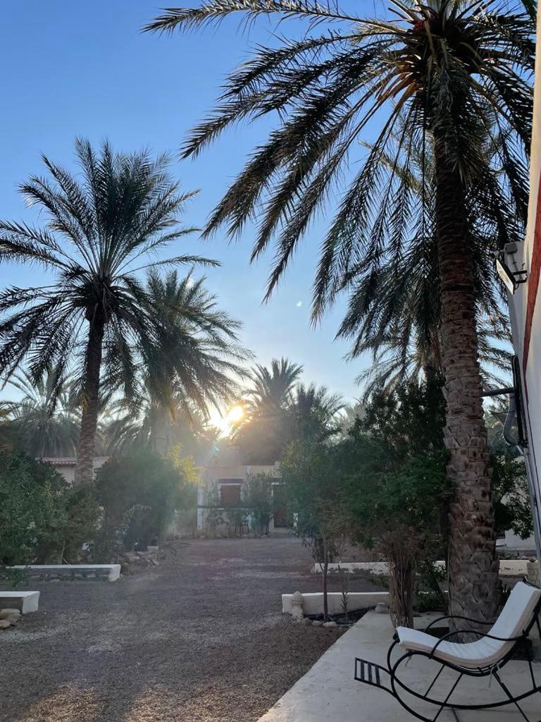 Dar Barka Hotell Kebili Eksteriør bilde